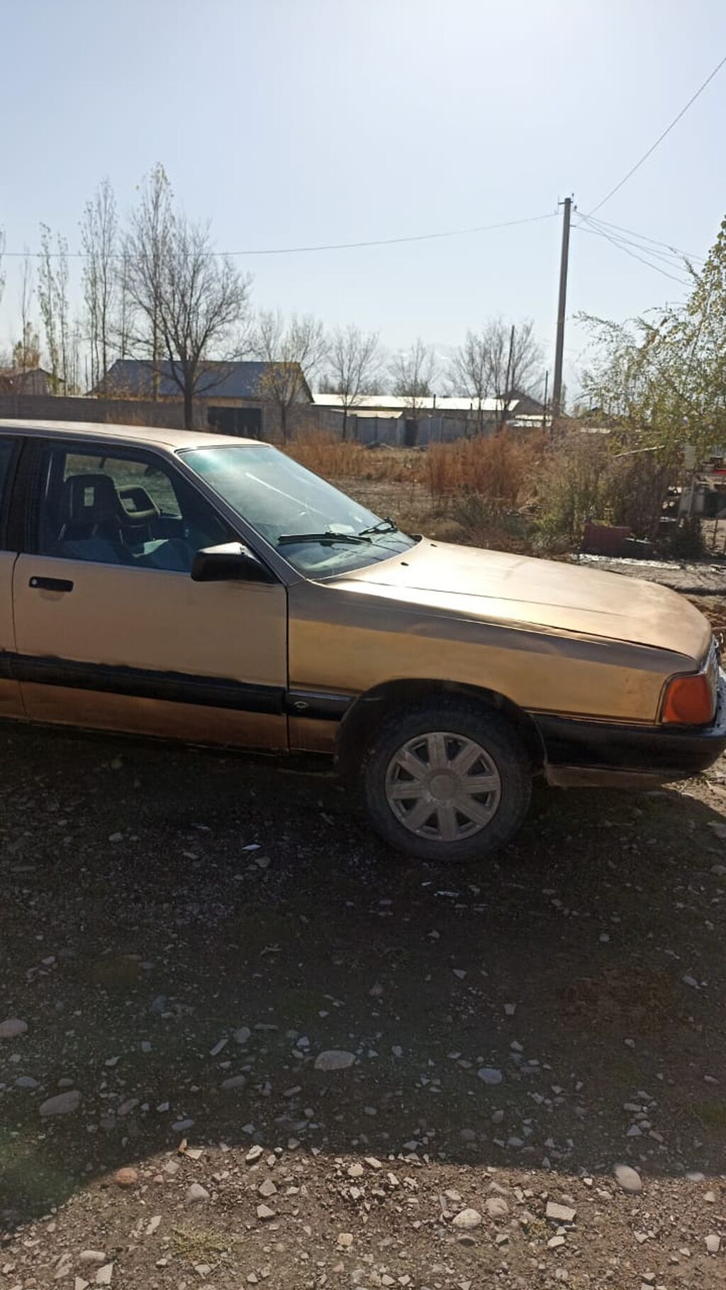 Audi 100