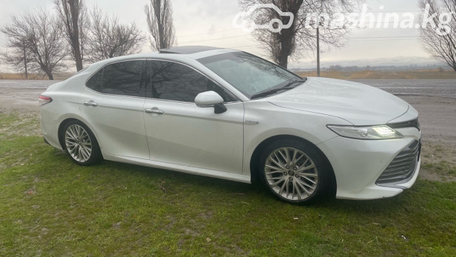 Toyota Camry (Japan)