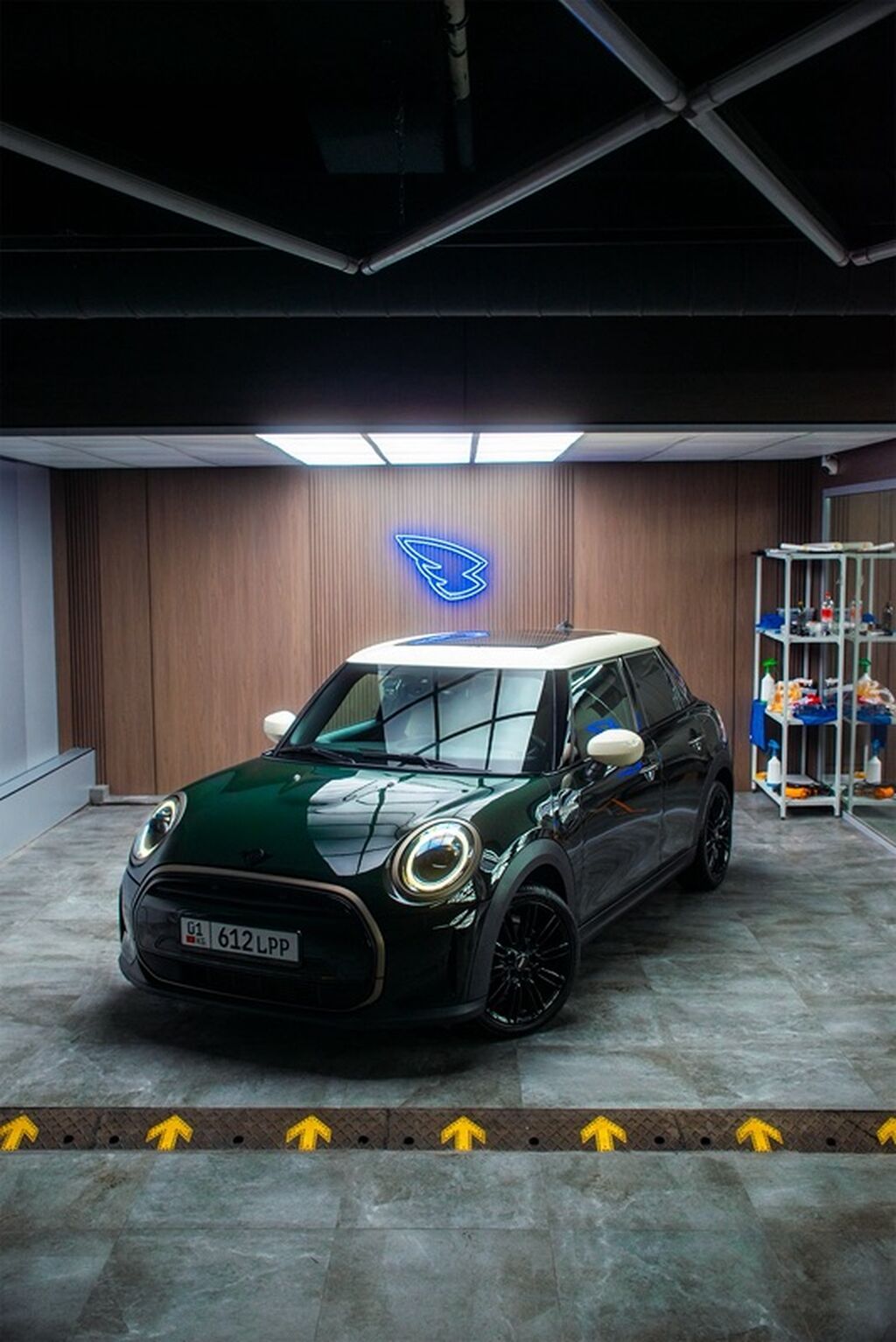 Mini Classic Mini