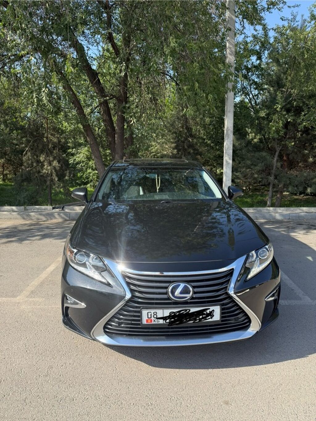 Фото 2