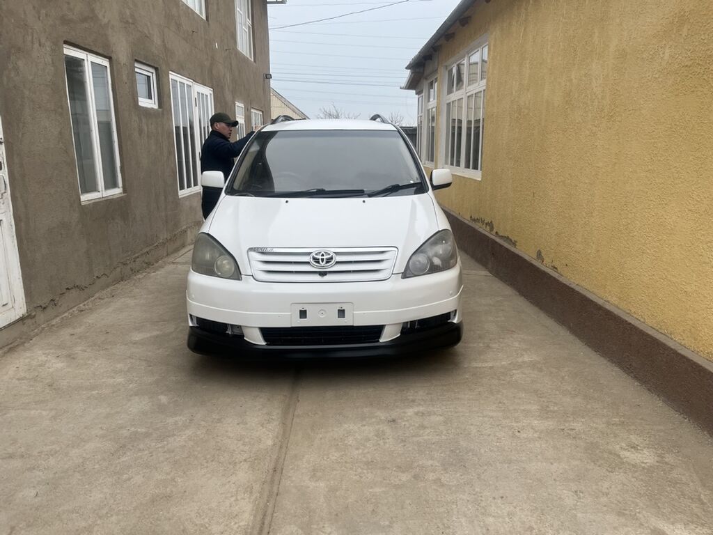 Toyota Ipsum