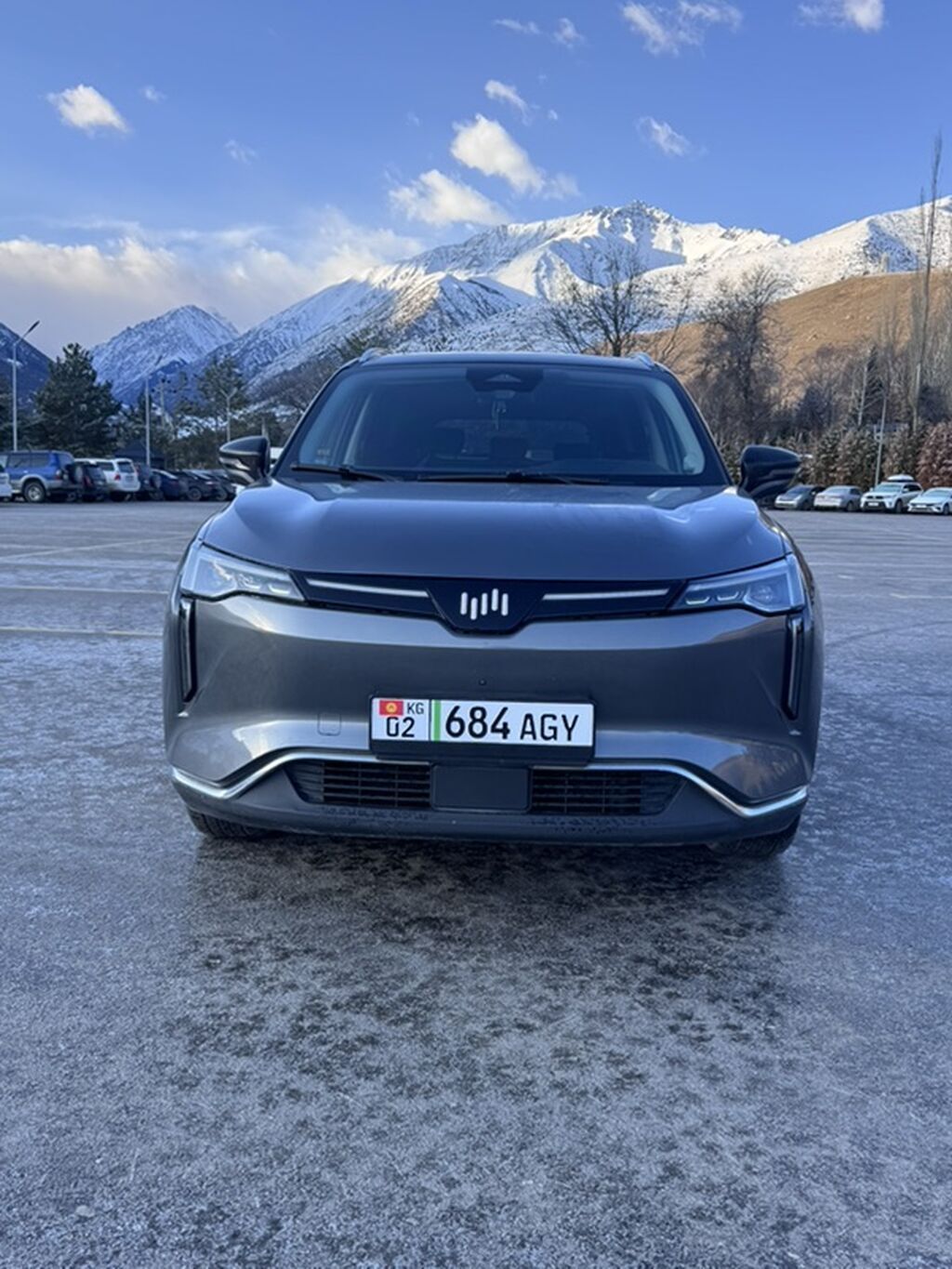 Weltmeister W6, 2021 г., 82900 км