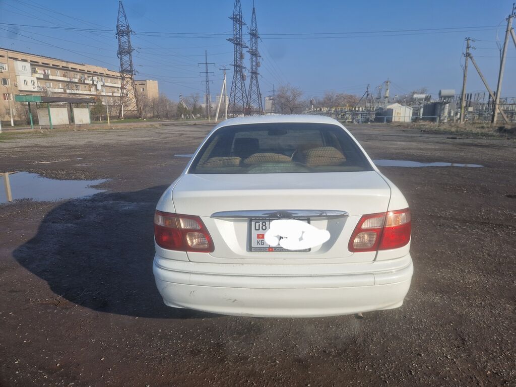 Nissan Bluebird