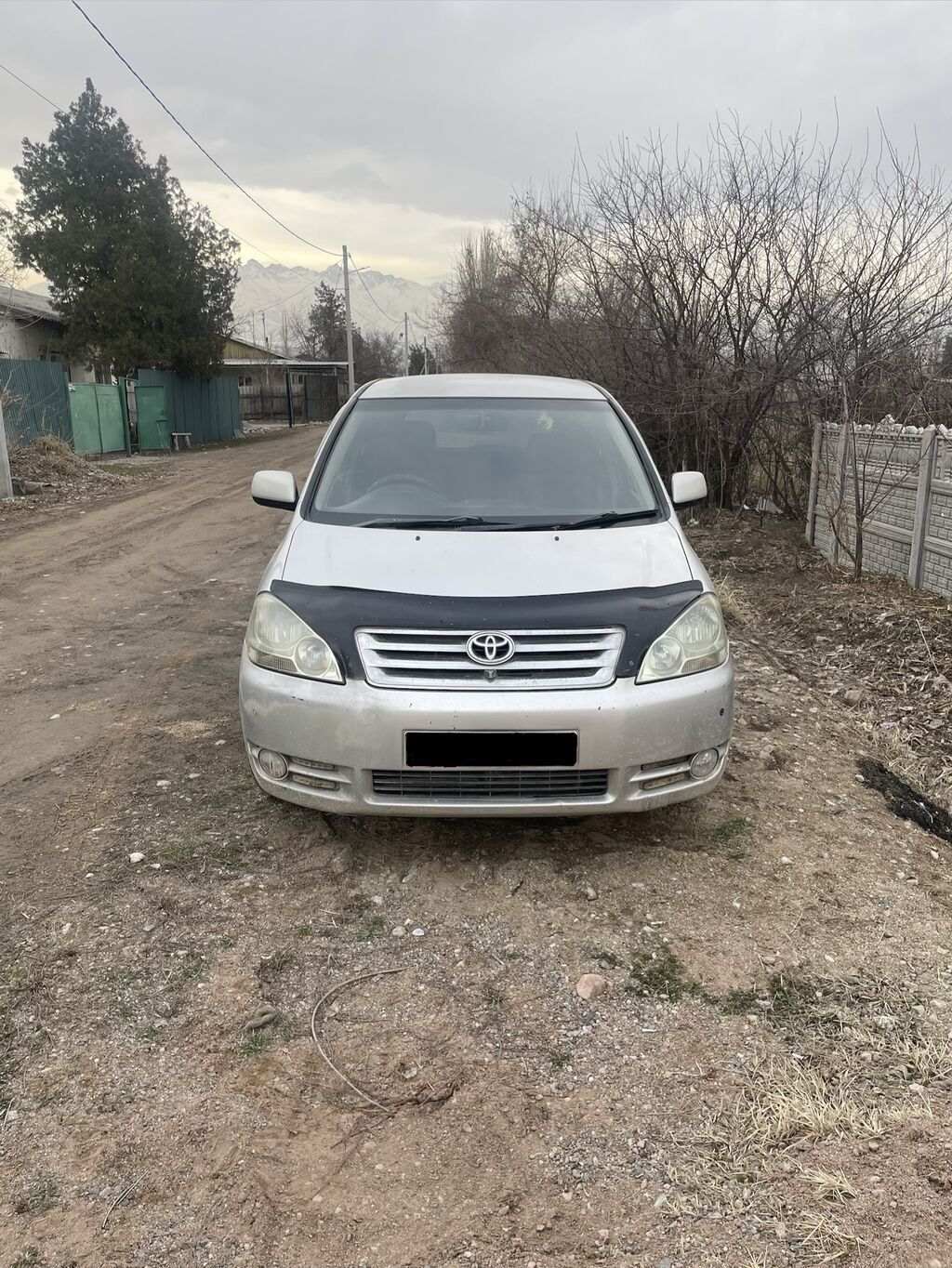 Toyota Ipsum