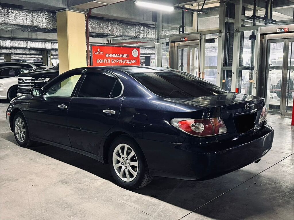 Фото 4