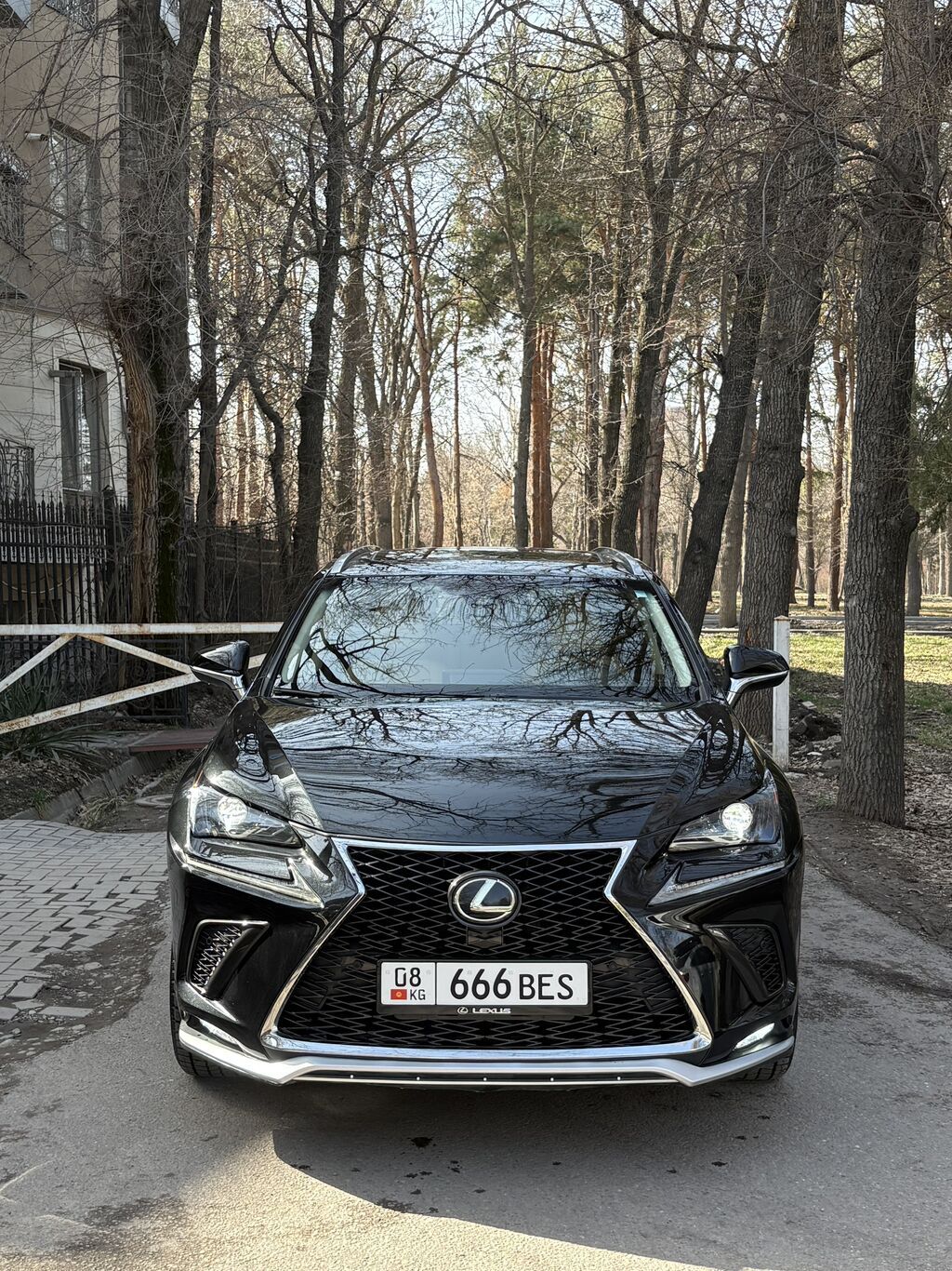 Lexus NX