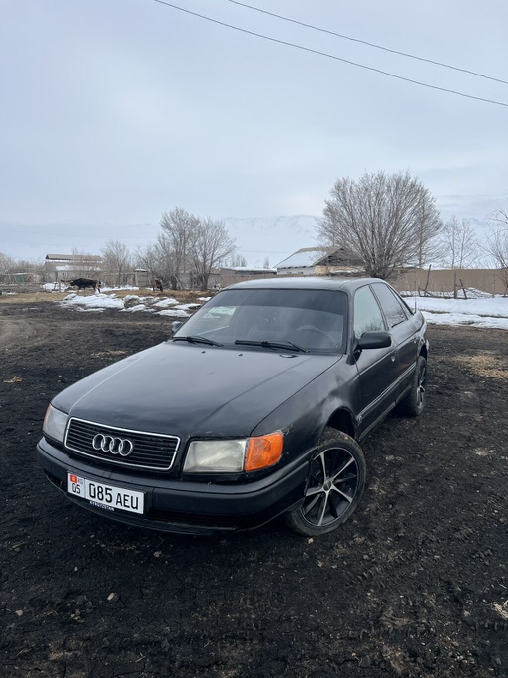 Audi 100