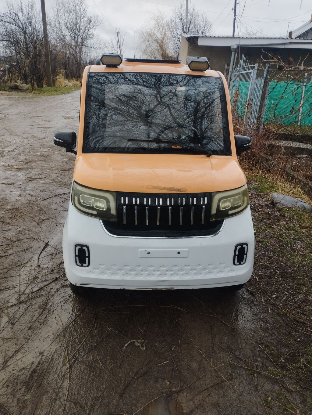 Microcar 