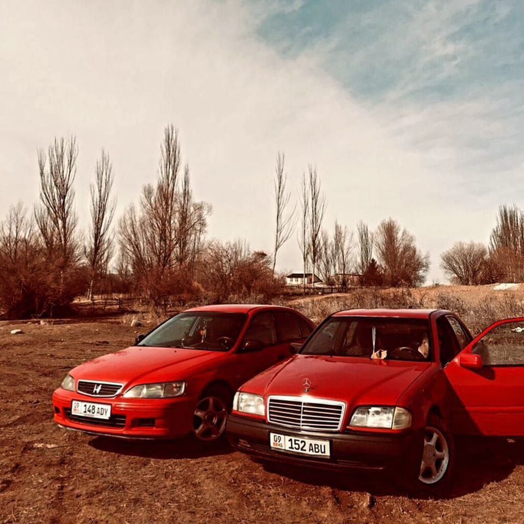Фото 3