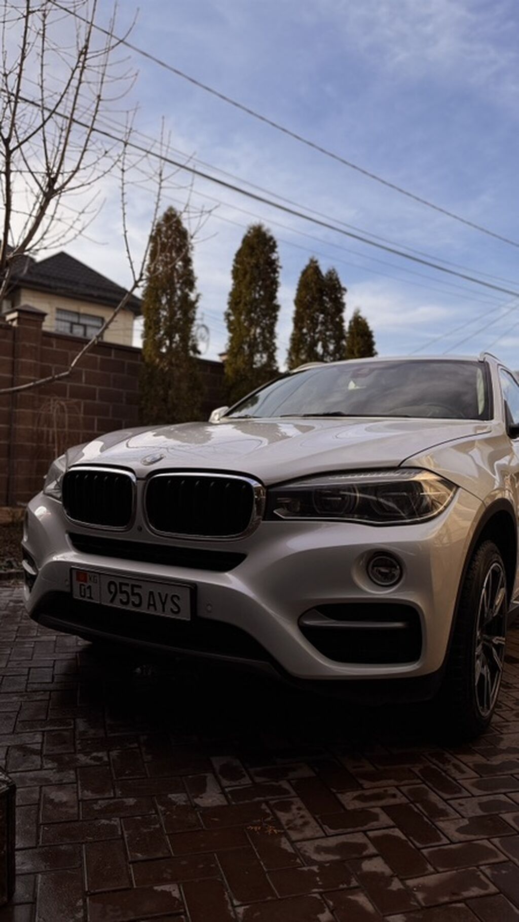 BMW X6