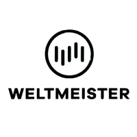 Weltmeister EX5