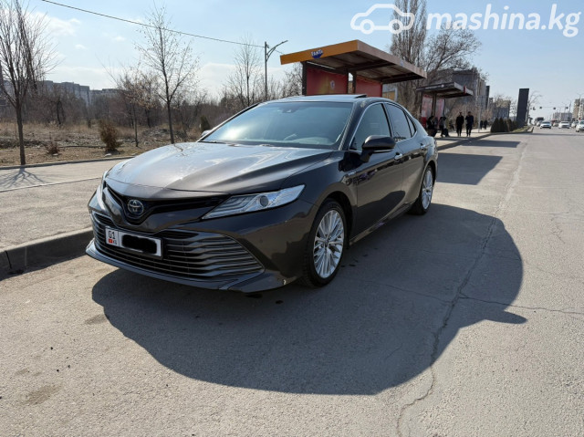 Toyota Camry (Japan)