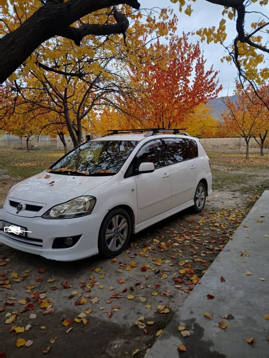 Toyota Ipsum
