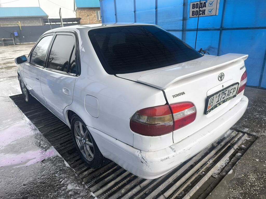 Фото 4