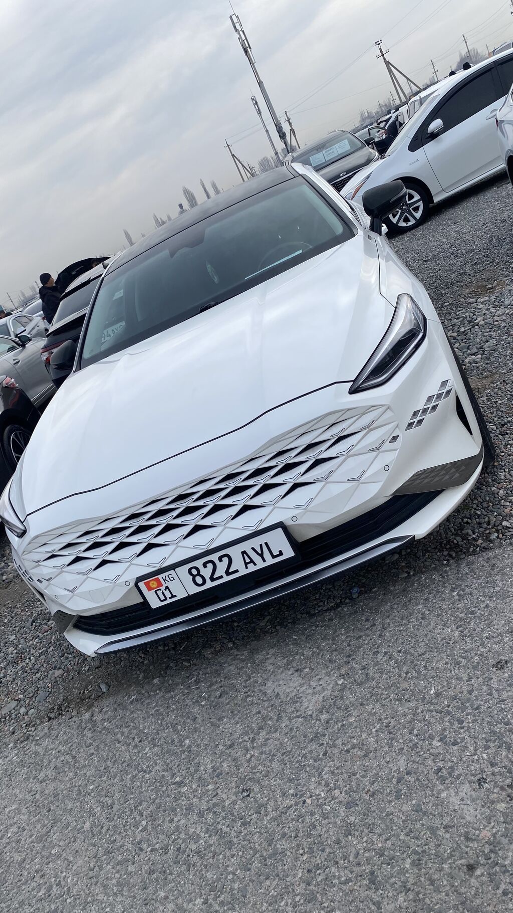Kia K8