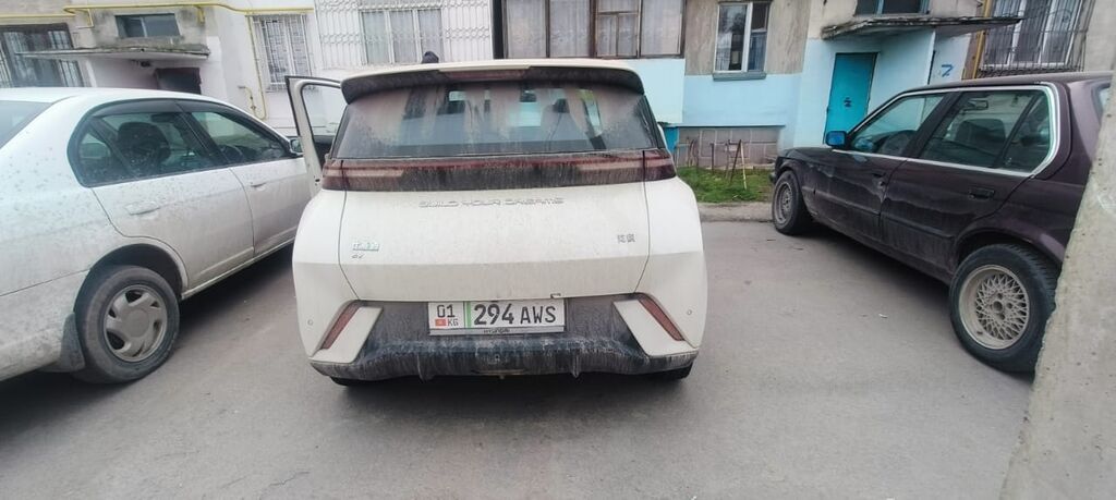 BYD Seagull