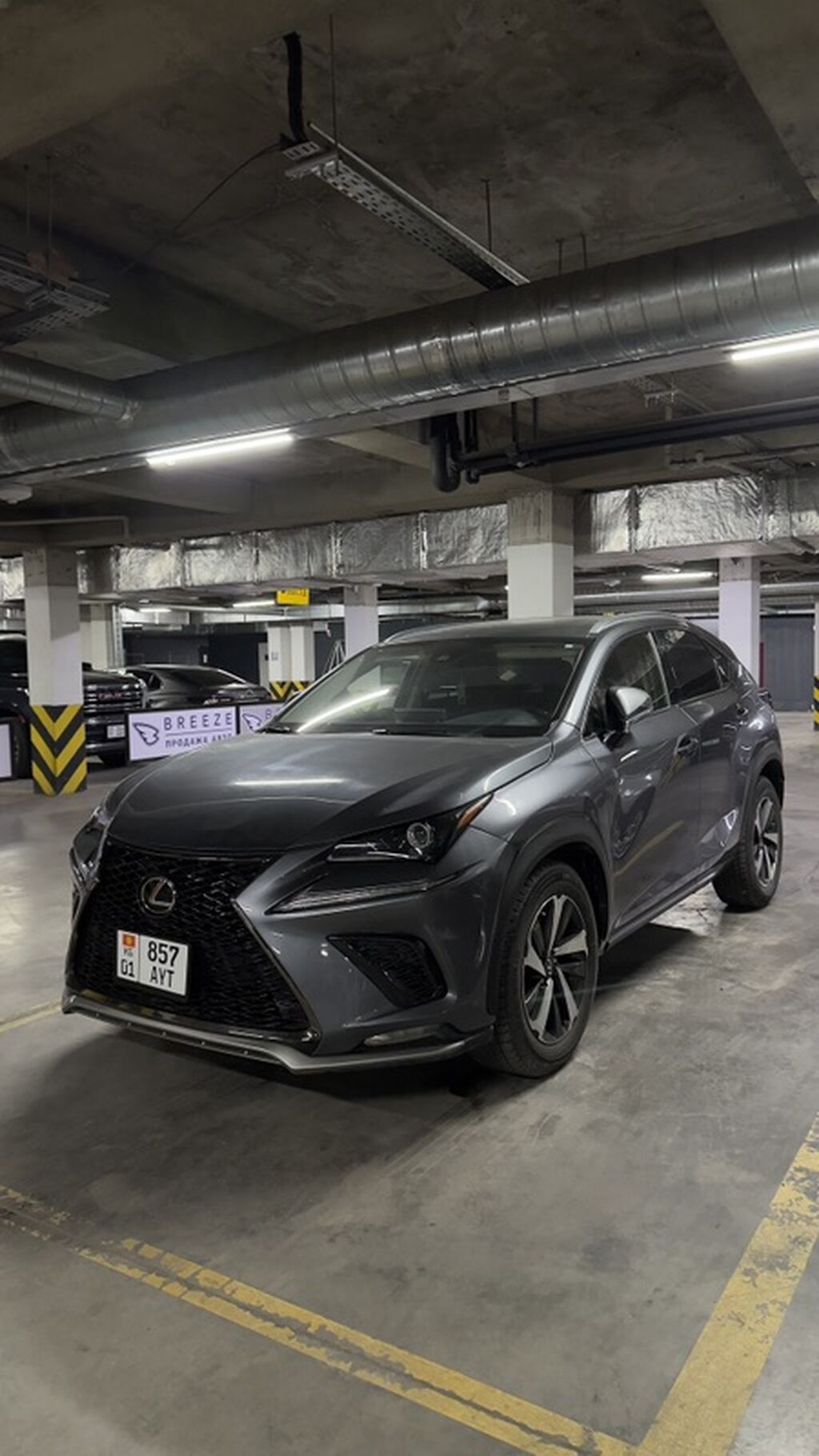 Lexus NX