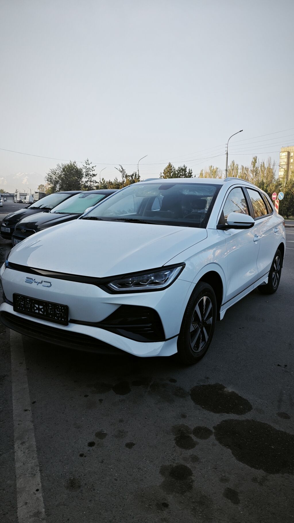 BYD E2