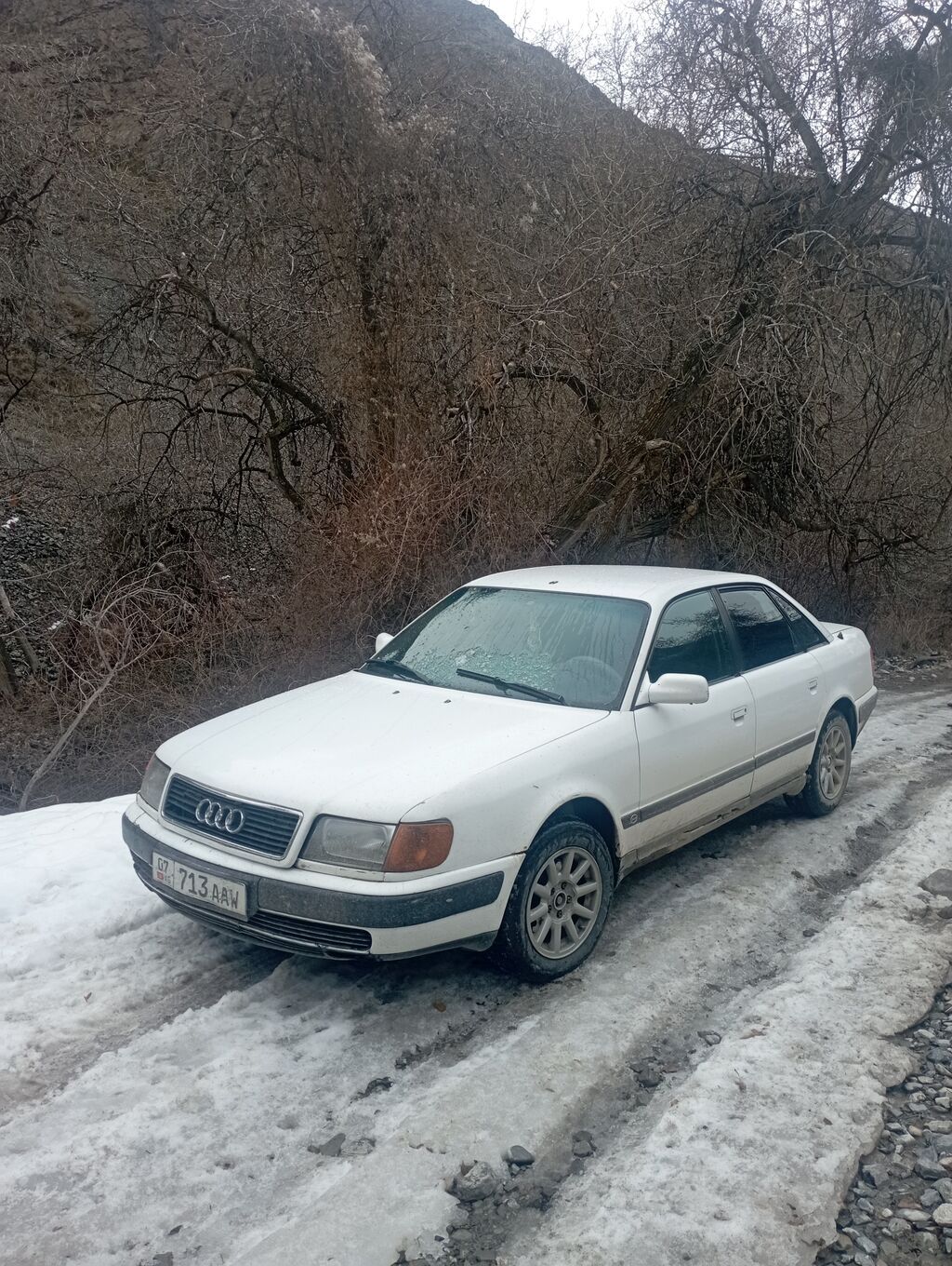 Audi 100