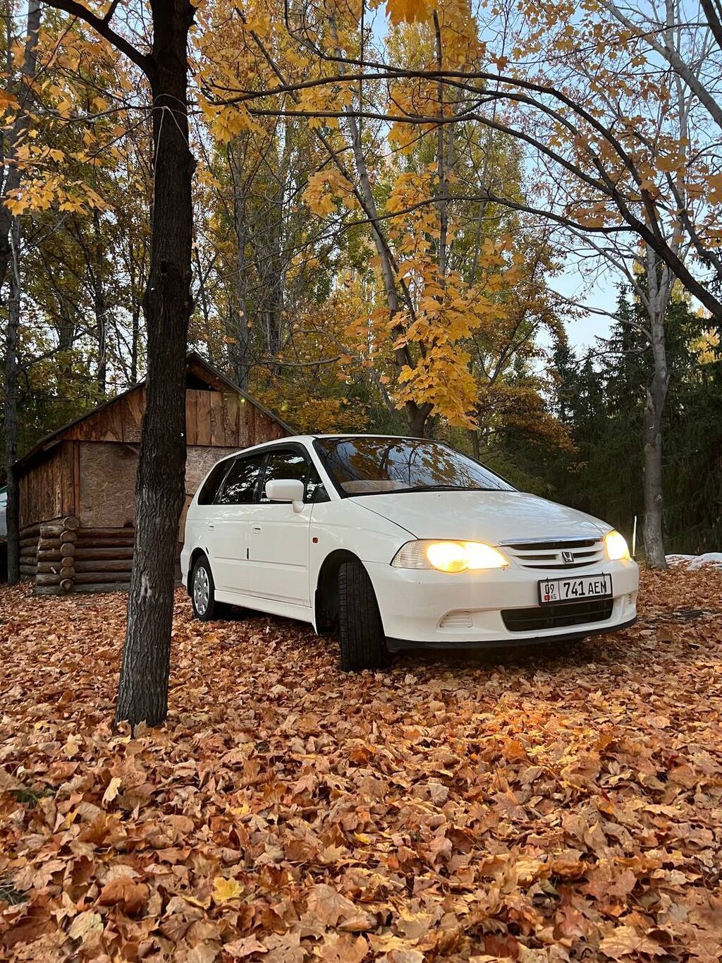 Honda Odyssey