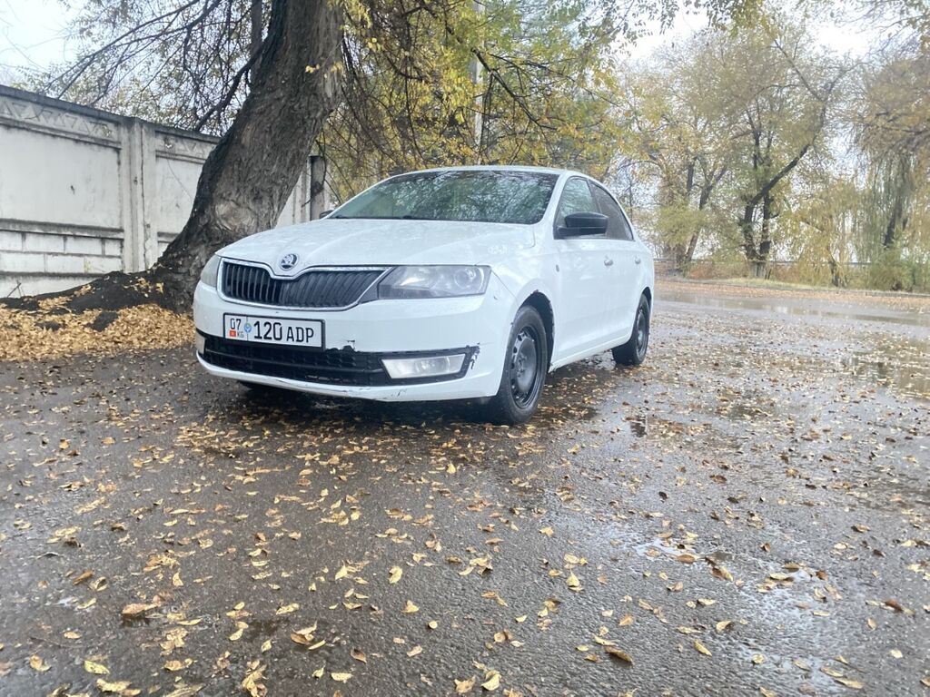 Skoda Rapid