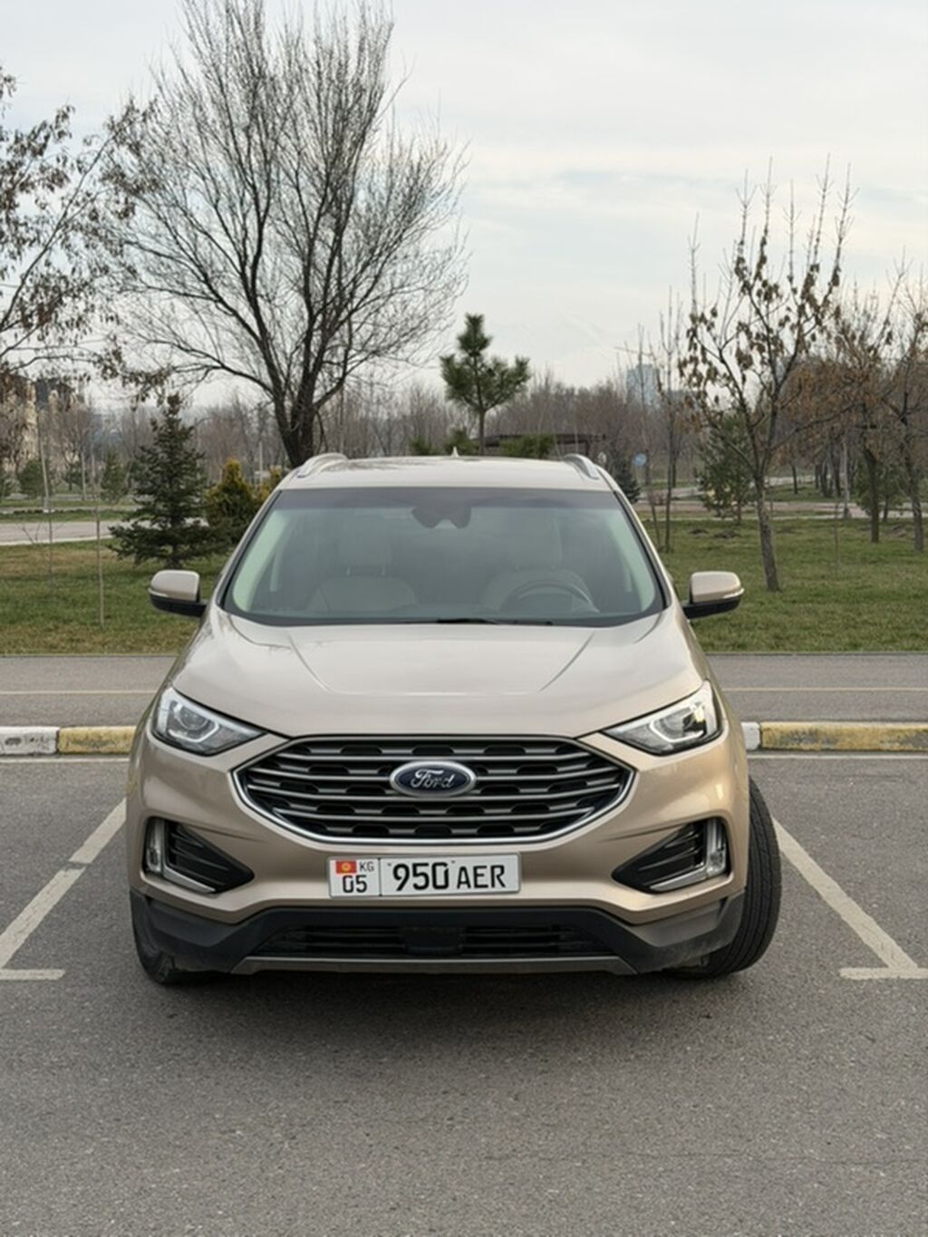 Ford Edge