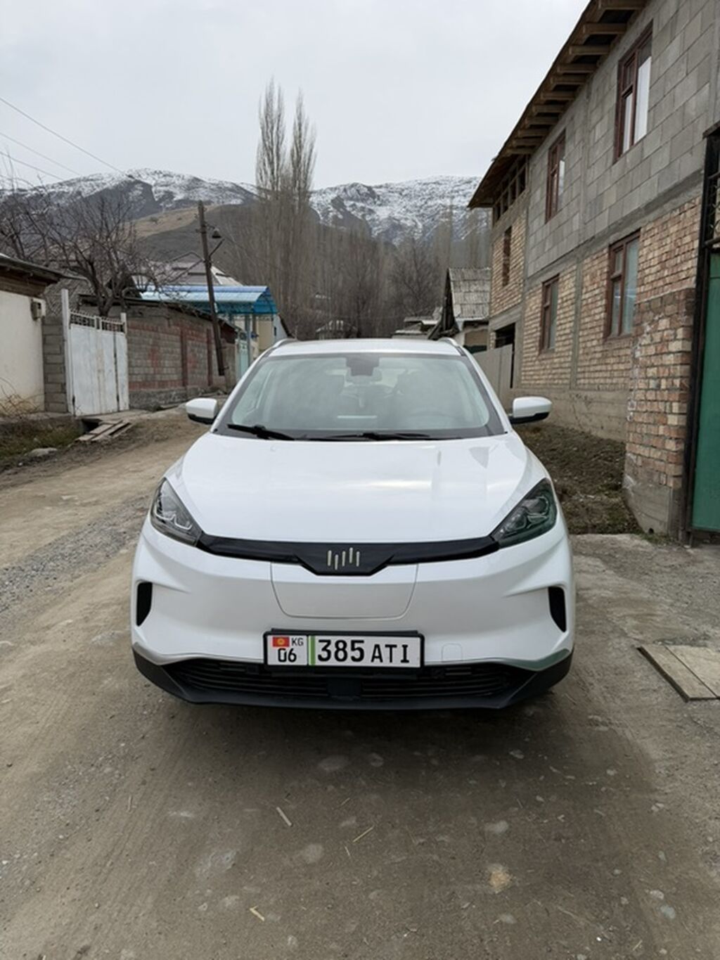 Weltmeister EX5, 2021 г., 110000 км