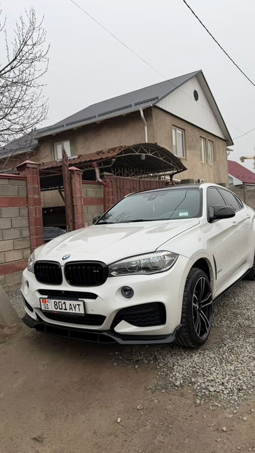 BMW X6