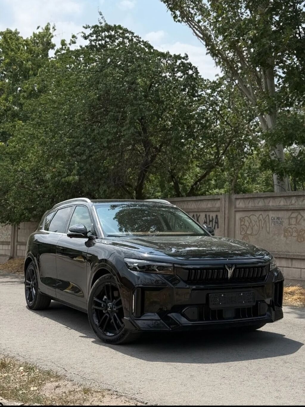 Voyah Бесплатно