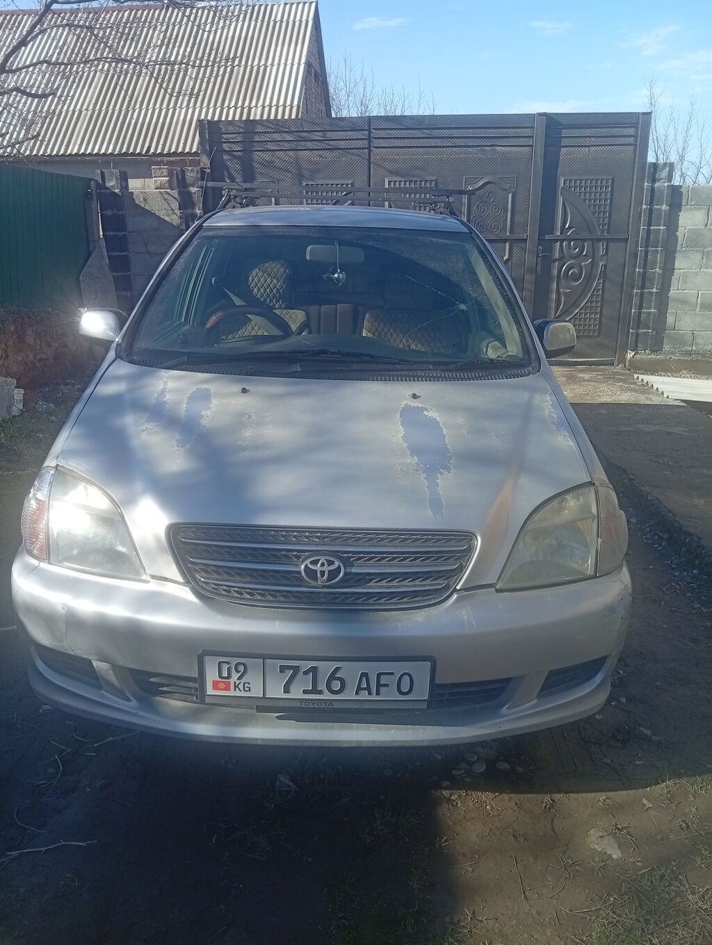 Toyota Nadia