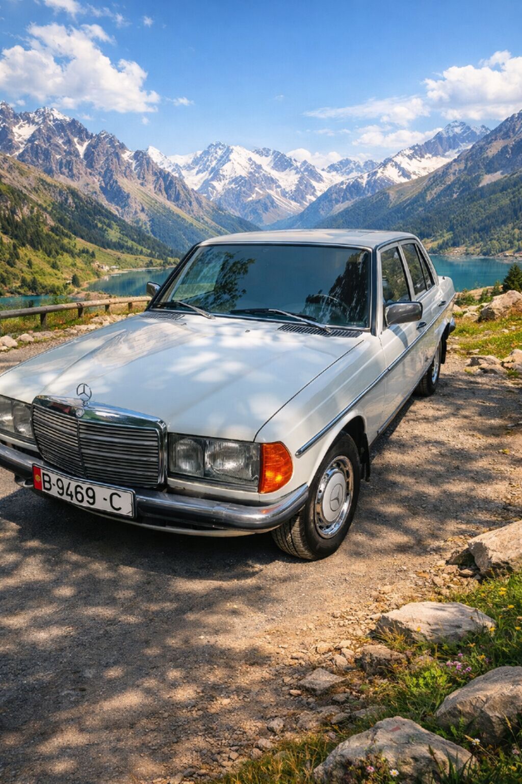 Mercedes-Benz W123