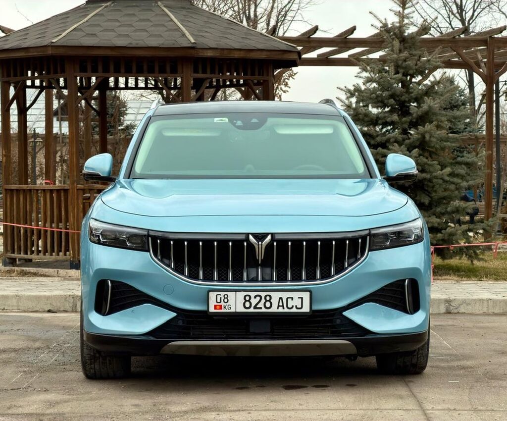 Voyah Бесплатно