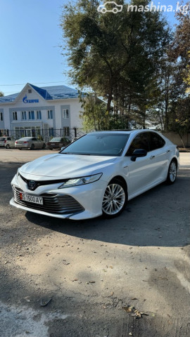 Toyota Camry (Japan)