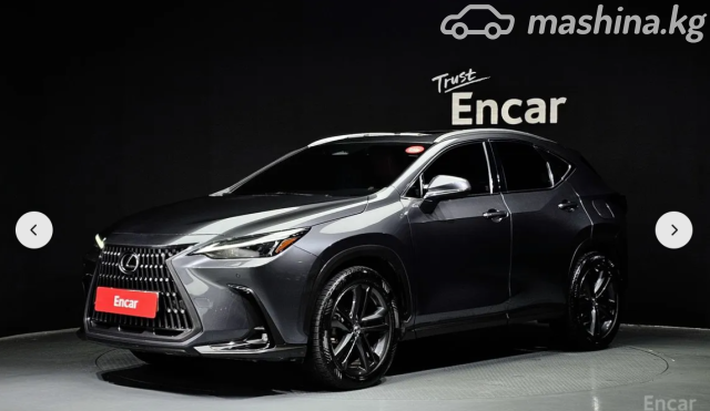 Lexus NX
