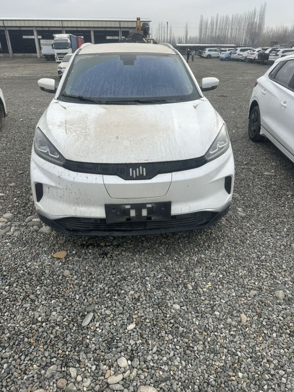 Weltmeister EX5, 2021 г., 163000 км, В наличии