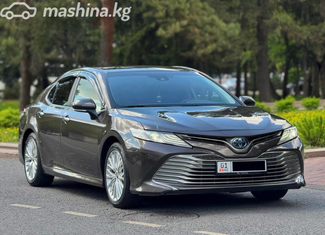 Toyota Camry (Japan)
