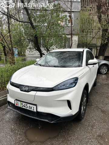 Weltmeister EX5