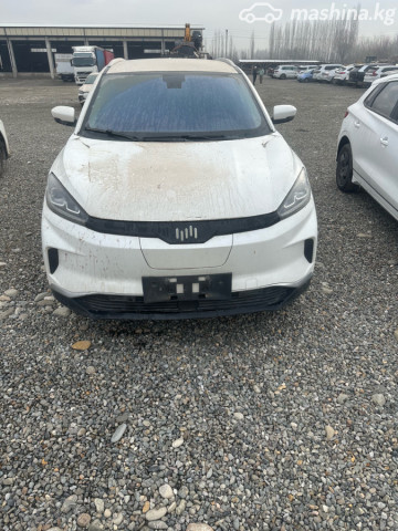 Weltmeister EX5