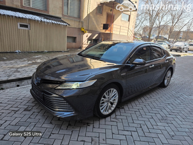 Toyota Camry (Japan)