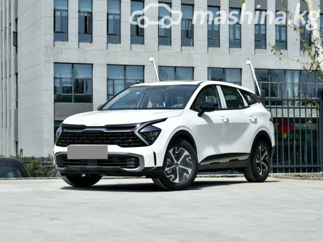 Kia Sportage (China)